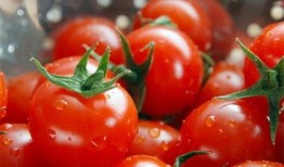 番茄娱乐圈读心吃瓜文,揭秘明星内心世界，吃瓜群众必备指南